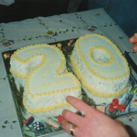 Doris Nicholson Kindergarten; 20th Anniversary Cake; 1993