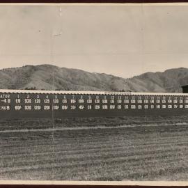 Totalisator; Trentham Racecourse; no date