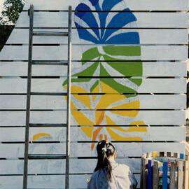 Skate Ramp; Maidstone Park; 1992