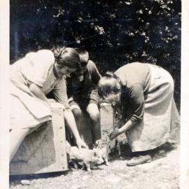 Sharman Marsh Family Photo Album; Poulsons with Piglets; ca. 1925-30