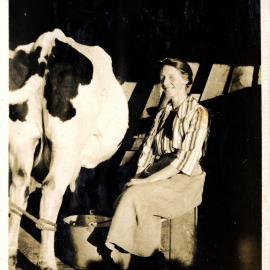 Sharman Marsh Family Photo Album; Mrs Jarvie Cow Milking; ca. 1920s