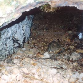 Outlet from David Benge's Mill