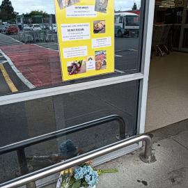 Angus the Countdown Cat; Memorial Tribute; 31 January 2024