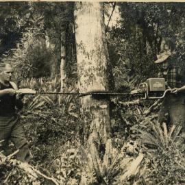 Axemen's Association Scrapbook; E.W. Mitchell and M.N. Vare; 1953