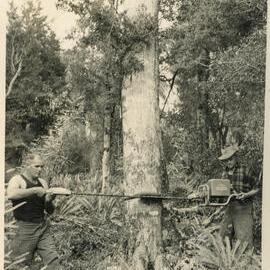 Axemen's Association Scrapbook; E.W. Mitchell and M.N. Vare; 1953