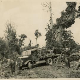Axemen's Association Scrapbook; Axemen in Bush; 1953