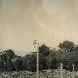Axemen's Association Scrapbook; Trentham Axemen's Event; ca. 1958