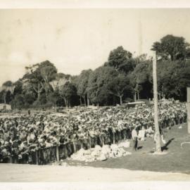 Axemen's Association Scrapbook; Trentham Axemen's Event; ca. 1958