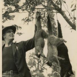 Axemen's Association Scrapbook; E.W. Mitchell; 1953 