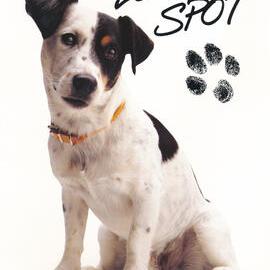 Tessa and Jack's Wedding; A card from Spot the Telecom Dog