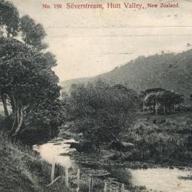 Silverstream; stream scene.