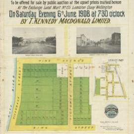 Housing development plan, 1908; Pine Avenue, Gibbons, Victoria, Riverbank streets.