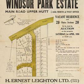 Housing development plan, 1950; Windsor Park Estate; Main, Montgomery and Cunningham roads.