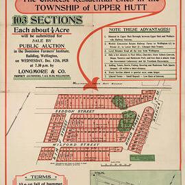 Housing development plan, 1928; Seddon, Wilford, Birch and Lane Streets.