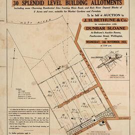 Housing development plan, 1923; Cluny Estate; Fergusson Drive, Whakatiki to Milton Streets. [P6-38-2097]