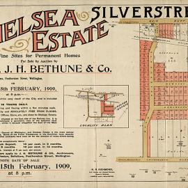 Housing development plan, 1909, Silverstream; Main Road, Gloucester, Marlborough, Pempsey streets. [P6-37-2096]