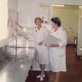 Silverstream Hospital; Dietitian and Kitchen Supervisor; ca. 1989