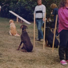Silverstream Hospital; Dog Obedience Demonstration; ca. 1989