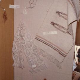 Silverstream Hospital; Craft Show; 1984