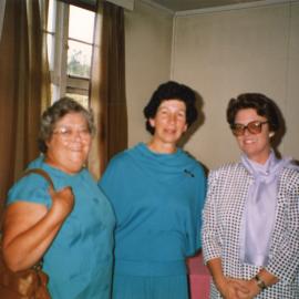 Silverstream Hospital; Dr. Susi Williams Leaving Party; 1989