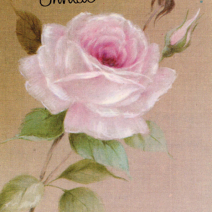 Avis Fiona Gollop Collection