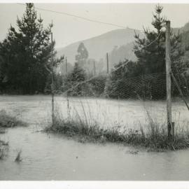 Wallaceville Animal Research Centre; Flooding; 1936