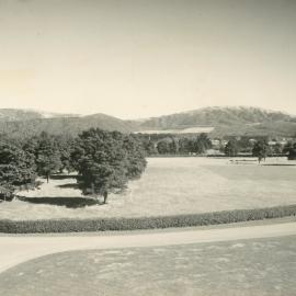 Wallaceville Animal Research Centre; Cricket Pitch; 1929-1954