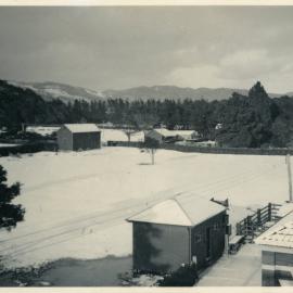 Wallaceville Animal Research Centre; Snow; 1939
