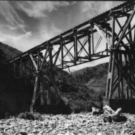 Bush tramway bridge, crossing Te Awa Kairangi / Hutt River at Te Marua
