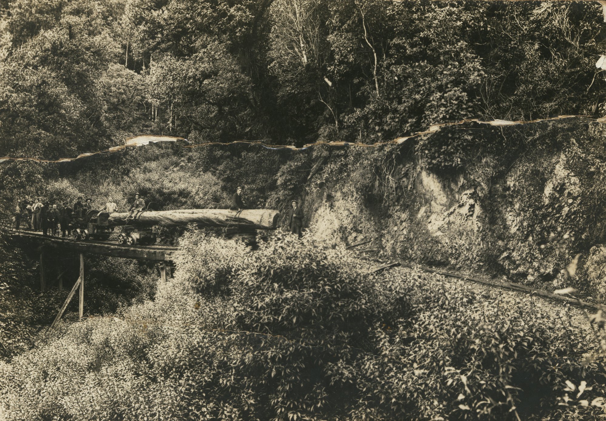 Timber industry; Campbell's Sawmills Ltd, Karapoti; experimental logging tractor on bush tramway bridge. 