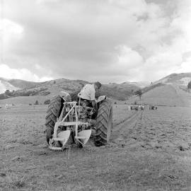 Silver Plough ploughing match 1966, Mangaroa Valley.