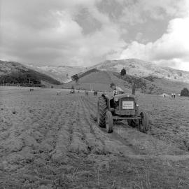 Silver Plough ploughing match 1966, Mangaroa Valley; Fordson tractor.
