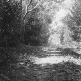 Bonnie Glen; looking north-east up the avenue.