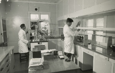 Wallaceville Animal Research Centre / AgResearch